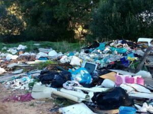 Ecologistas piden una urgente intervención en Sierra Carbonera
