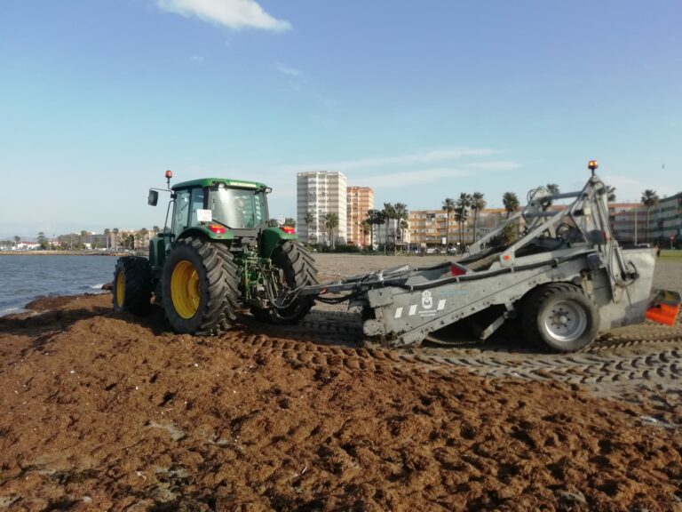 #LALÍNEA Playas contrata un servicio de recogida, retirada y traslado de algas del litoral linense