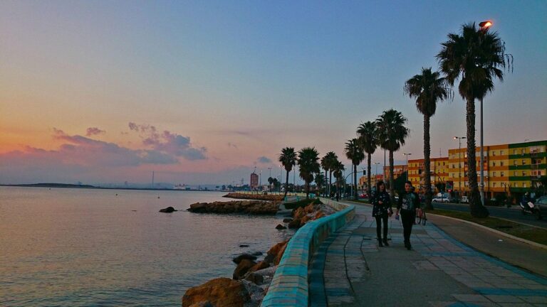 El alcalde avanza con Costas sobre el proyecto de regeneración de la playa de Poniente