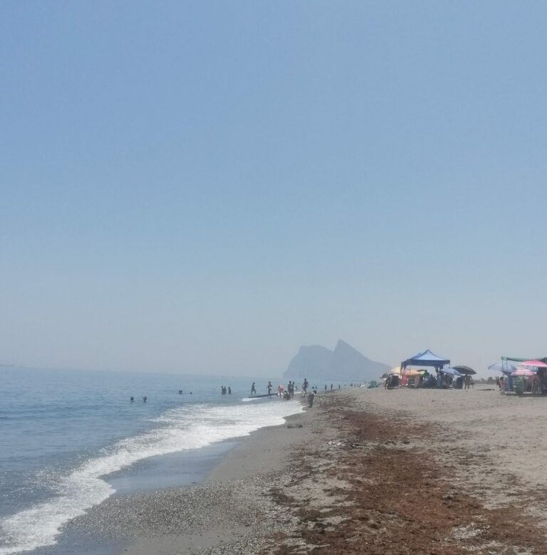 Retirada de 22 toneladas de algas invasoras