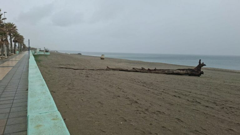 El temporal deja sustos y destrozos en la ciudad